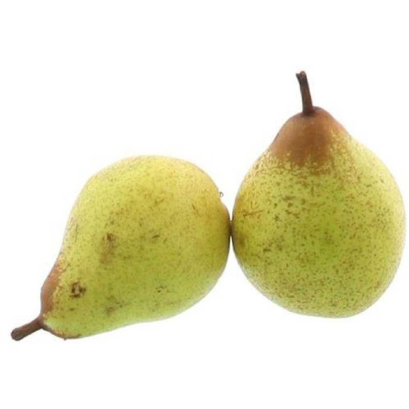 POIRE ROCHAS 70/75MM 7KG